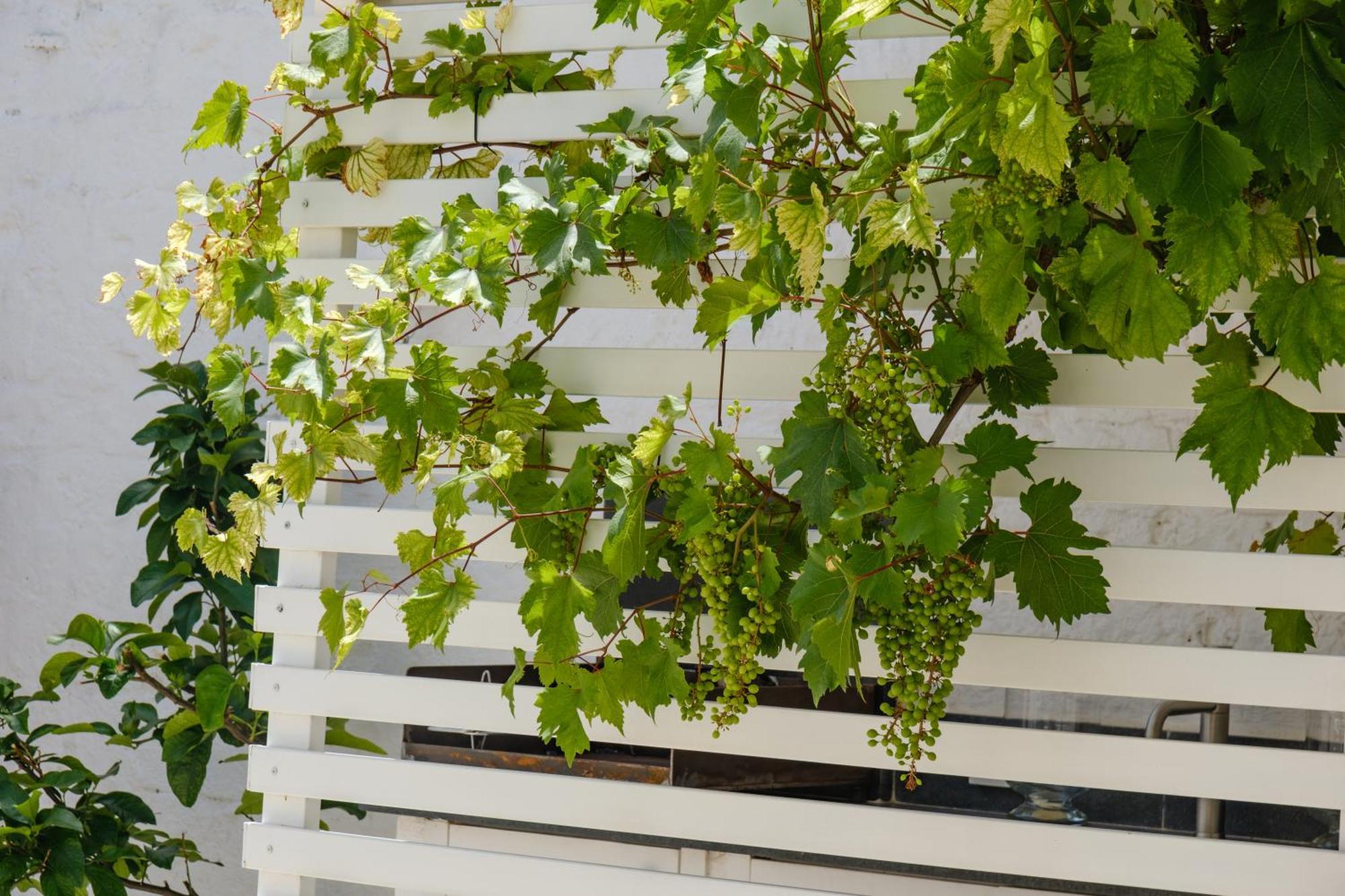 Welcome Ostuni B&B Zewnętrze zdjęcie